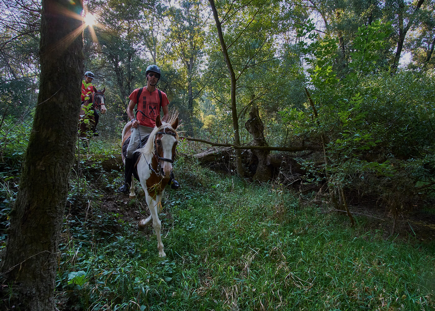 Optional activity, Horseback riding along the Drava river and its surroundings